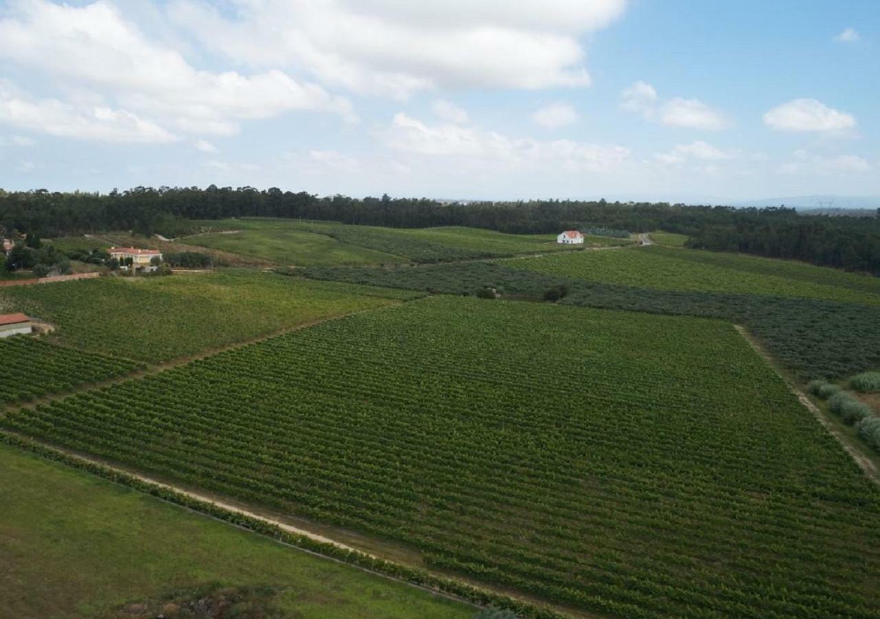 Quinta Da Fogueira Villa Anadia Luaran gambar